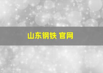 山东钢铁 官网